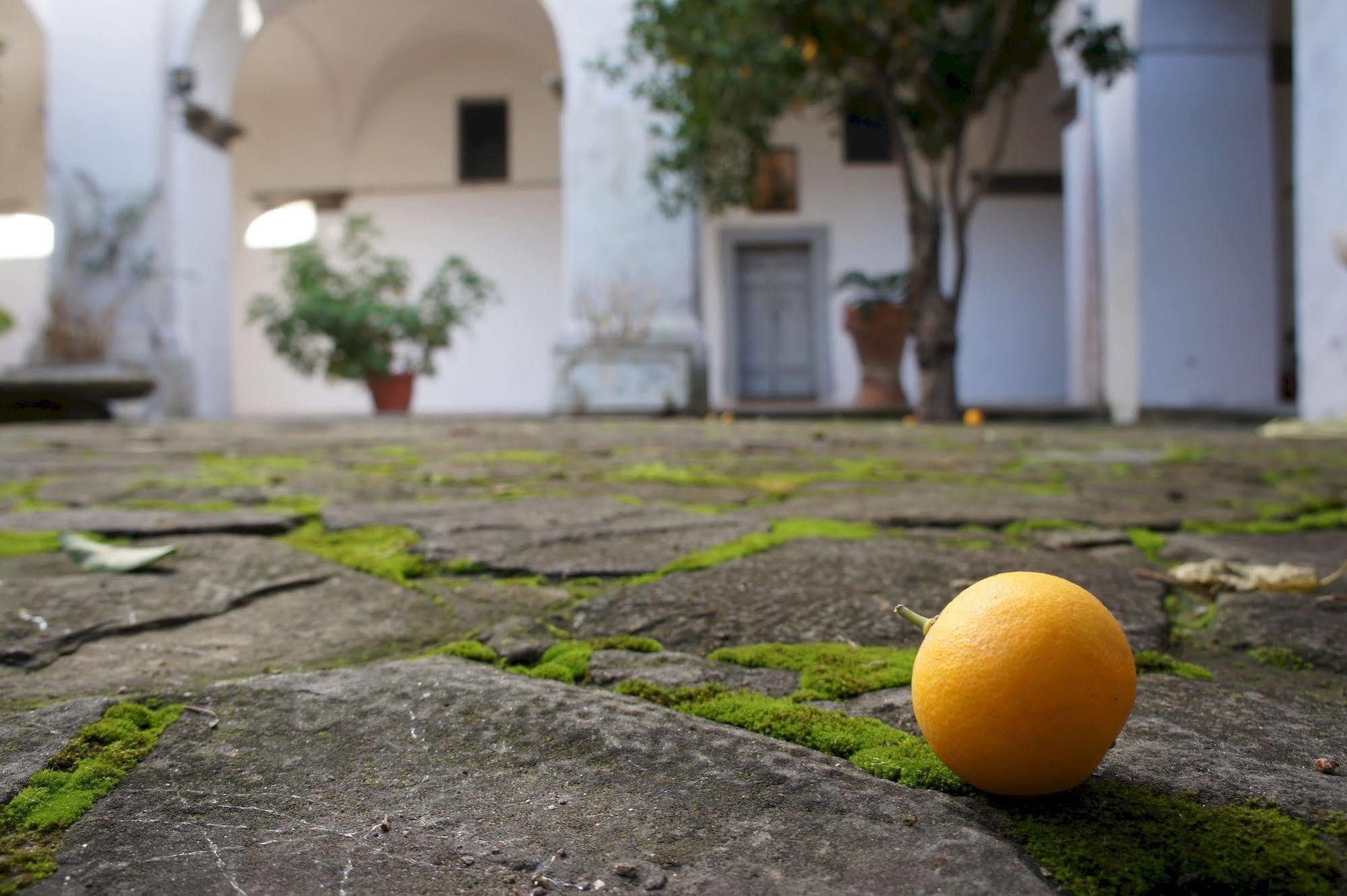 San Francesco Relais Bed & Breakfast Massa Lubrense Ngoại thất bức ảnh